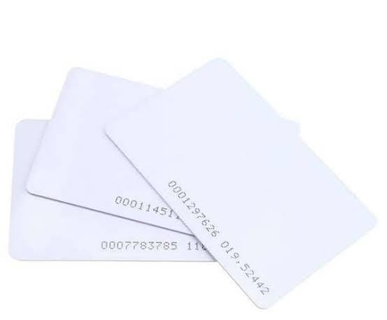 project-1 viewport preview